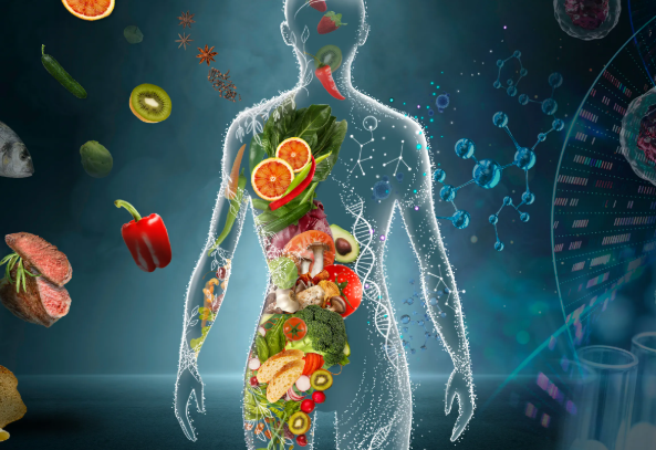 What Is Nutrition? A Beginner’s Guide to Fueling Your Body Right